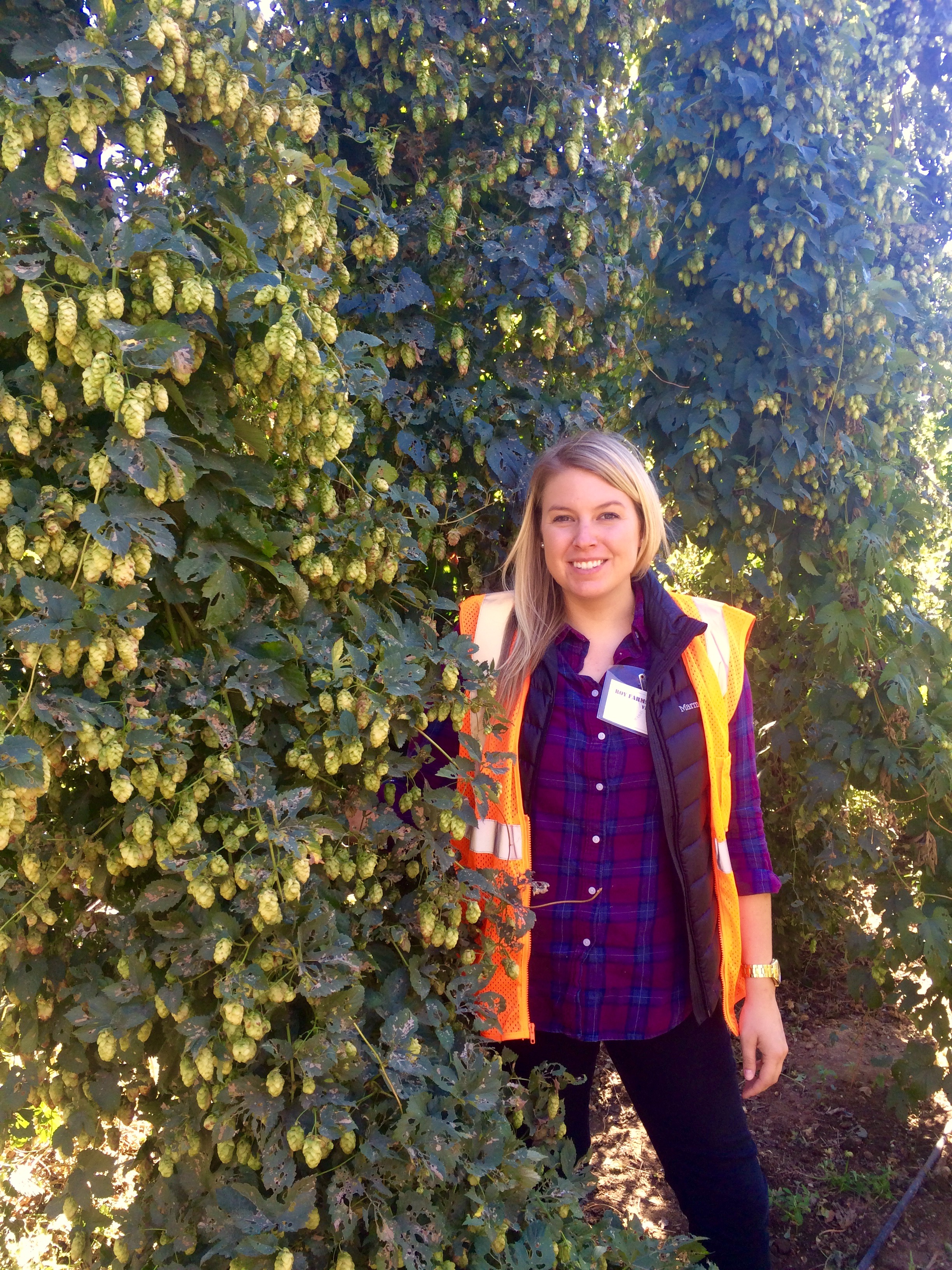 Megan Mares standing with hops
