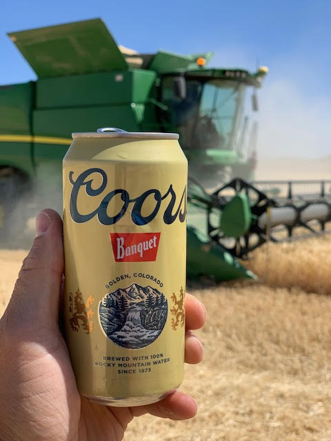 Coors Banquet